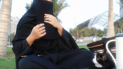 娱乐吃瓜酱与君